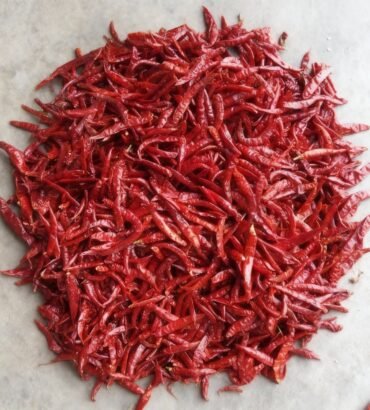 Red Chilli
